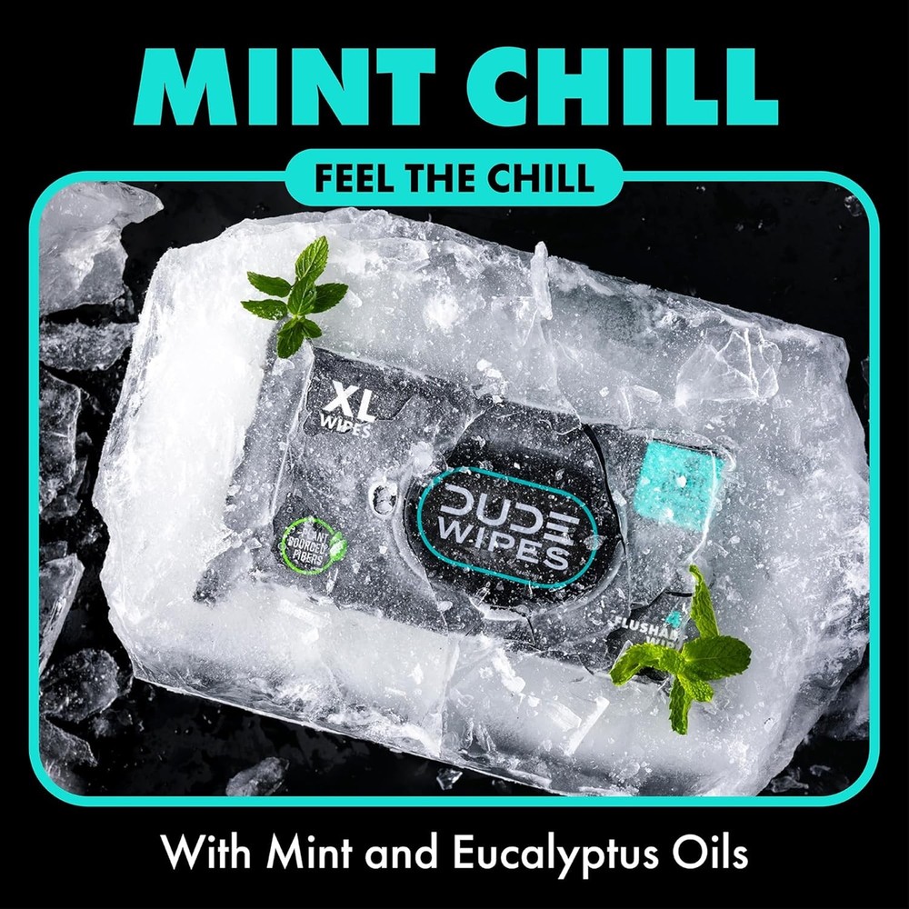 DUDE Wipes, 48 Wipes, 2 Pack | Flushable | Mint Chill | Extra-Large | Eucalyptus