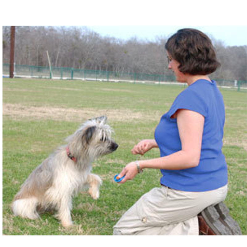StarMark Triple Crown CLICKER Dog Puppy Command & Trick Training Method