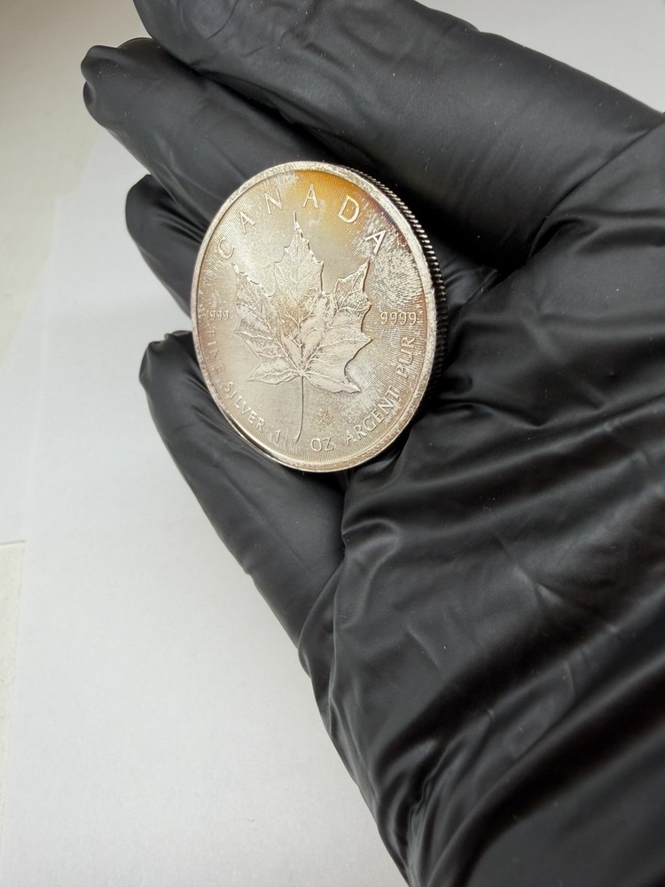 2019 Canada Elizabeth II Proof 1 oz $5 coin