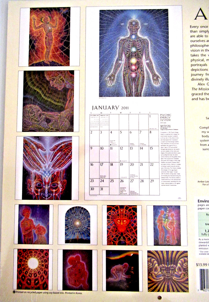 "2011 ALEX GREY CALENDAR" ~ *** PSYCHEDELIC / METAPHYSICAL / COSMIC ART *** #51