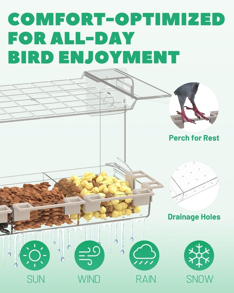 Clear Window Bird Feeder Outdoors - for Viewing with 5