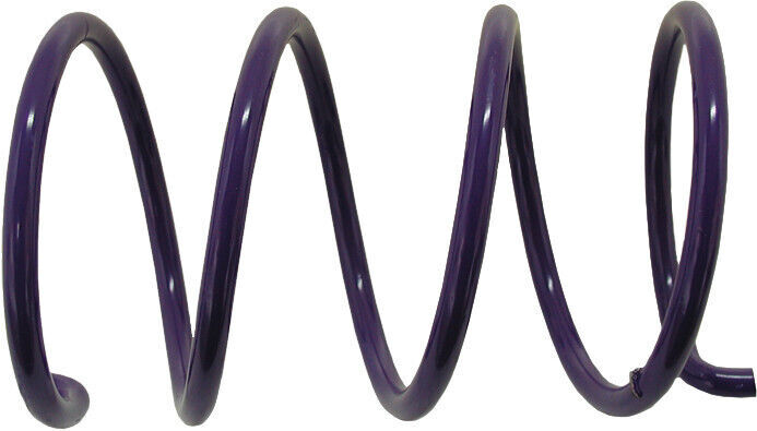 EPI ACSS-5 Spring- Driven Clutch Cat Purple