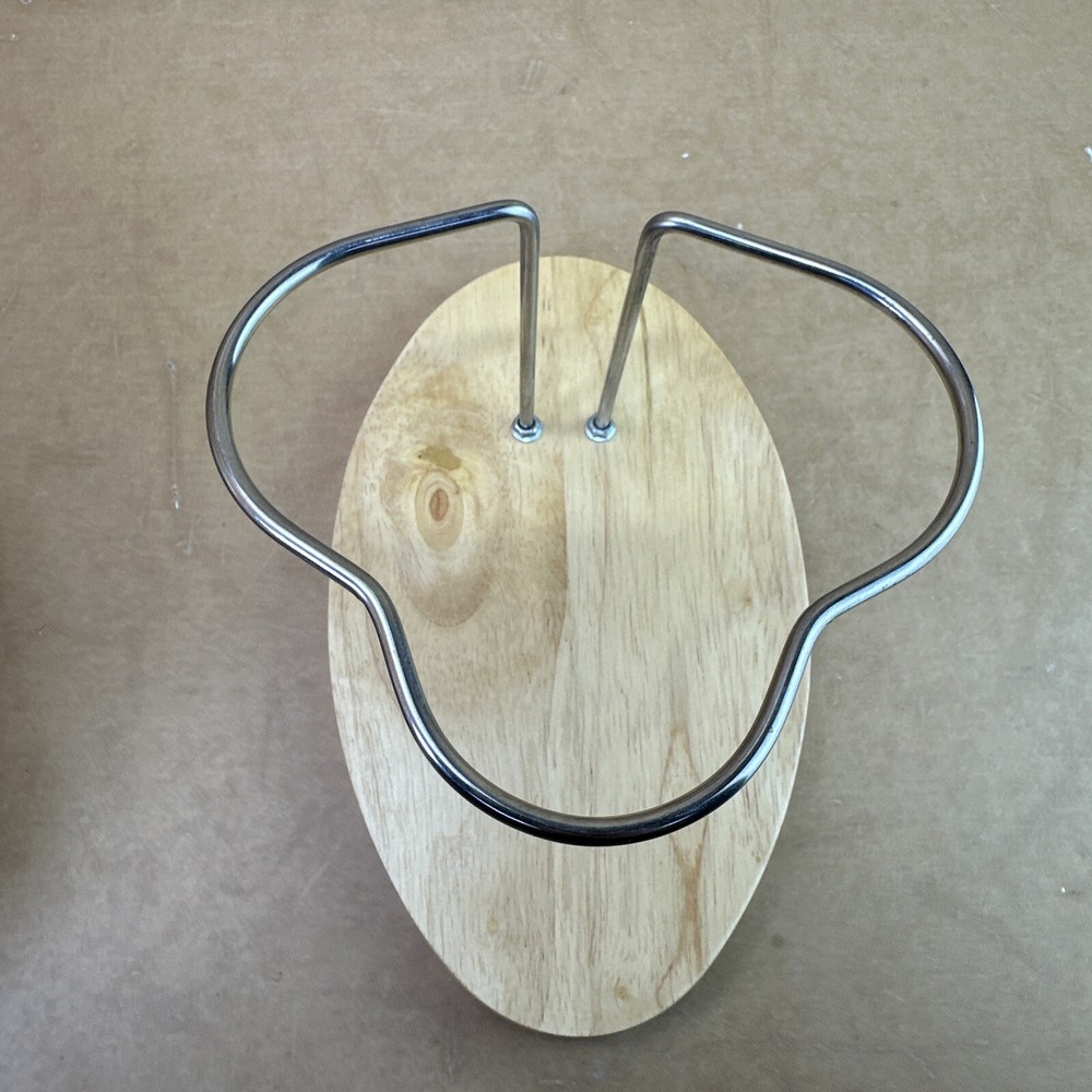 Human Brain Model with Laser-Engraved Numbers and Labeling | Includes Case/Stand