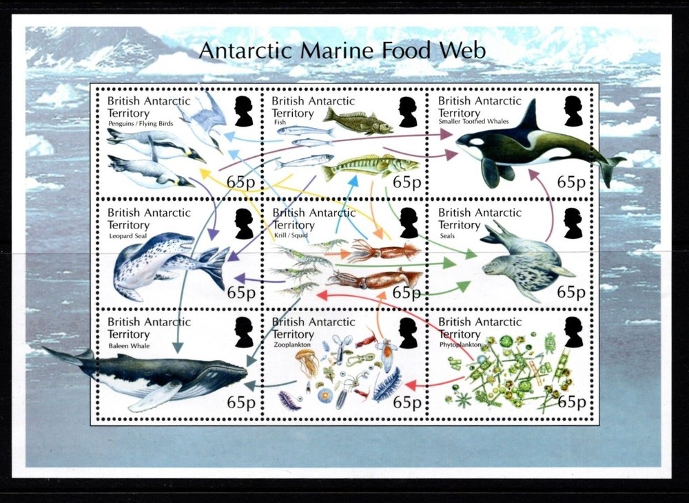 BRITISH ANTARCTIC TERRITORY  2014  ANTARCTIC MARINE FOOD WEB  MINISHEET   MNH