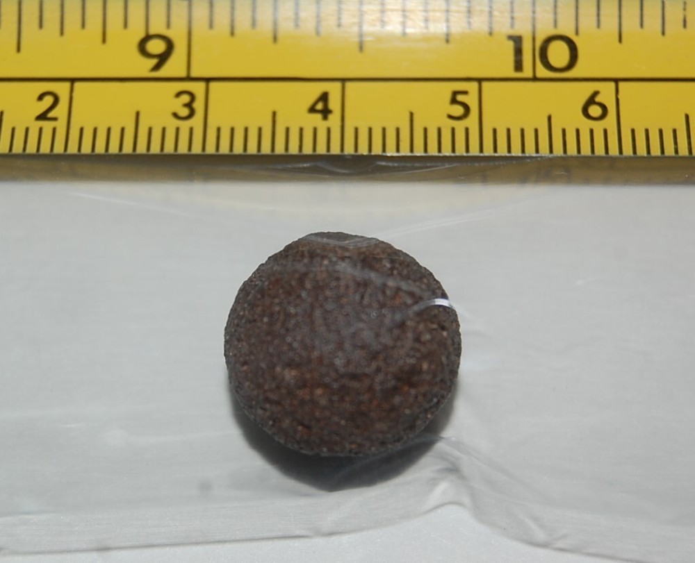 Pseudofossil (Concretion) Structure, Tertiary Period, Washington Co., Utah
