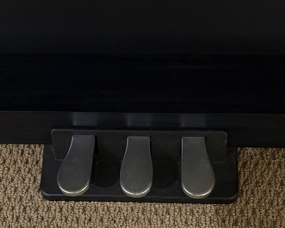 Medeli DP260 Digital Piano