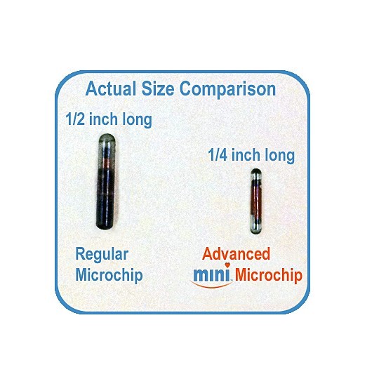 Pro-ID Microchip Pet Microchip MINI CHIP 134KHZ, ISO 5 Pack