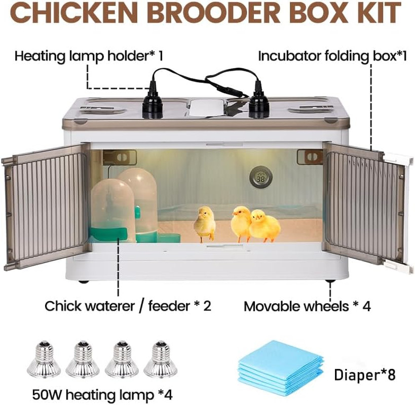 Brooder Box for Chicks Quail Brooder Box with Thermostat Poultry Heater Breeding