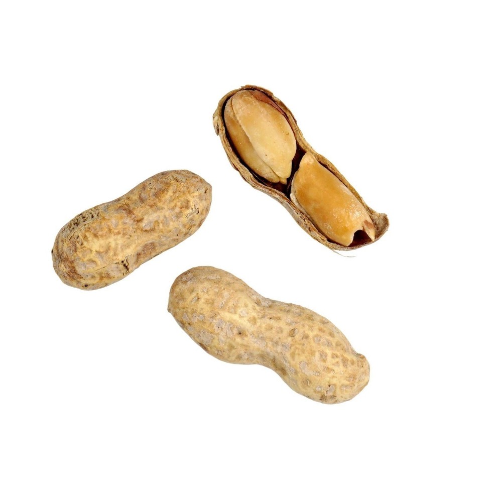 Peanuts In Shell Roasted and Salted, 10 Pound Bag, The Hampton Popcorn &...