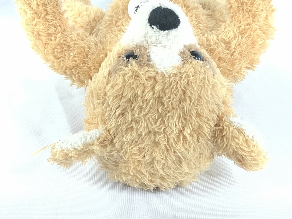 Steiff Bear Nicky 013201 Retired With Tags HTF