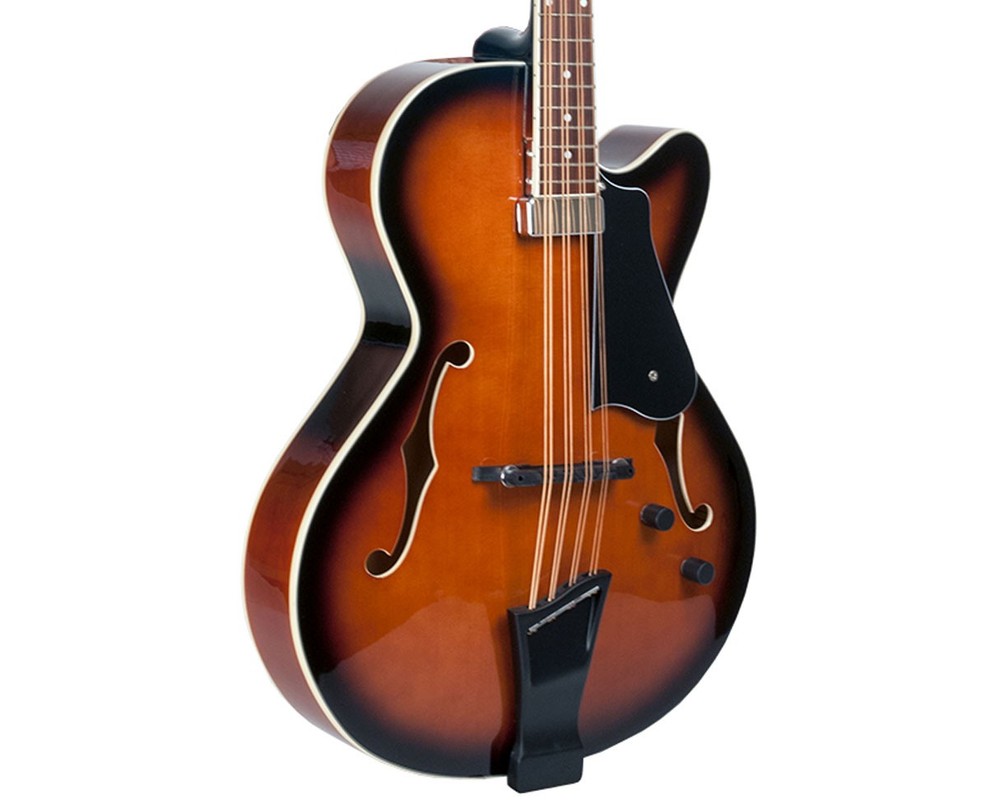 Gold Tone Mandocello - Open Box