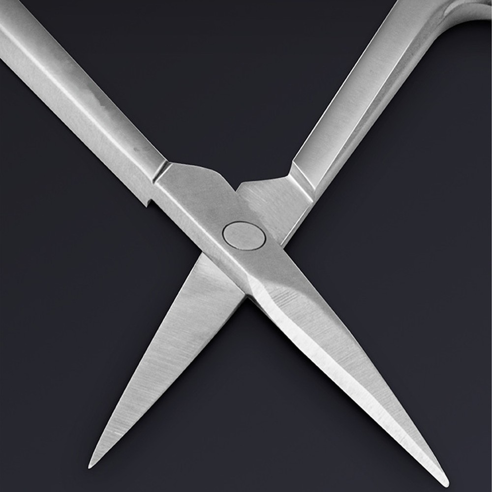 T10B02 Stainless Steel Thick Modeling Scissors For Model Building Etching Tool