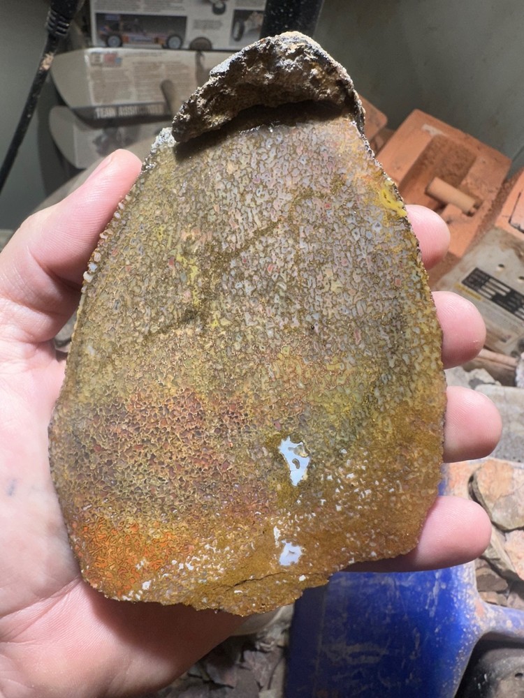Dinosaur bone rough **hxtled slab.
