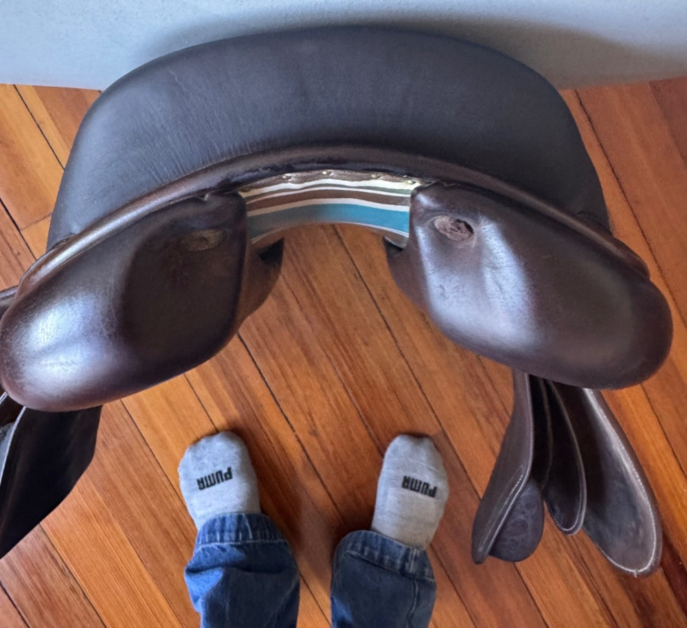 17.5" Voltaire Palm Beach PRO Saddle - 2AA Flaps - Grain / Buffalo