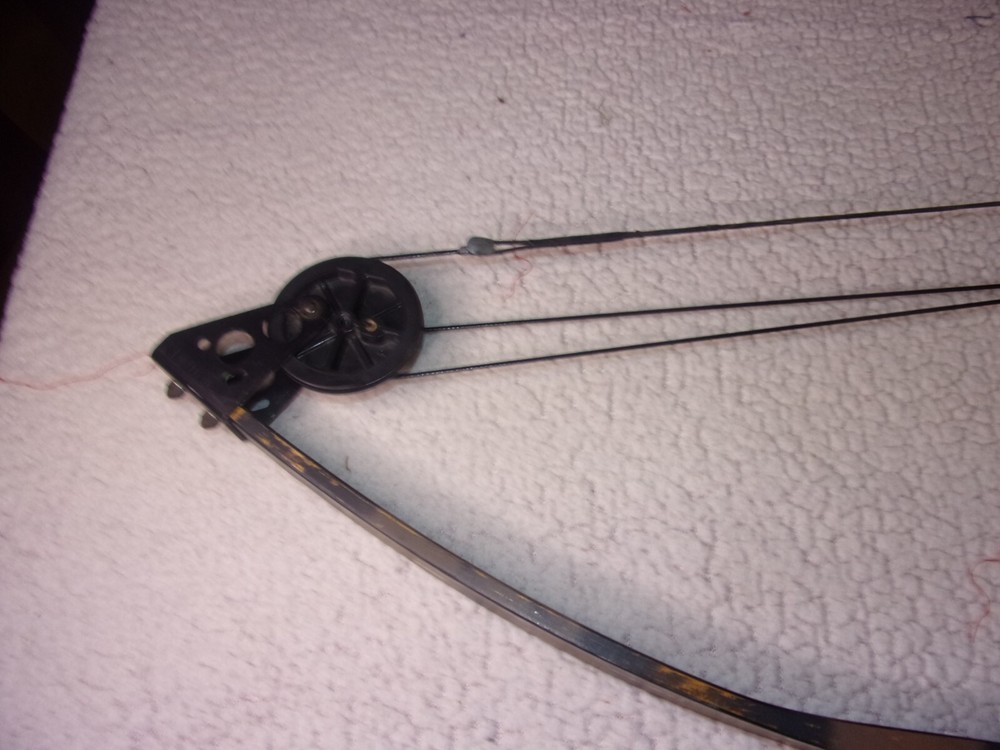Darton Trail Master Vintage Compound Bow