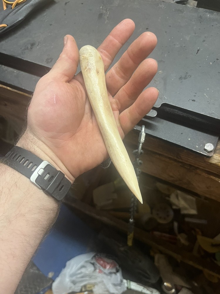 one time use 100%  bone tool knife And Sheath With Zero Metal In It