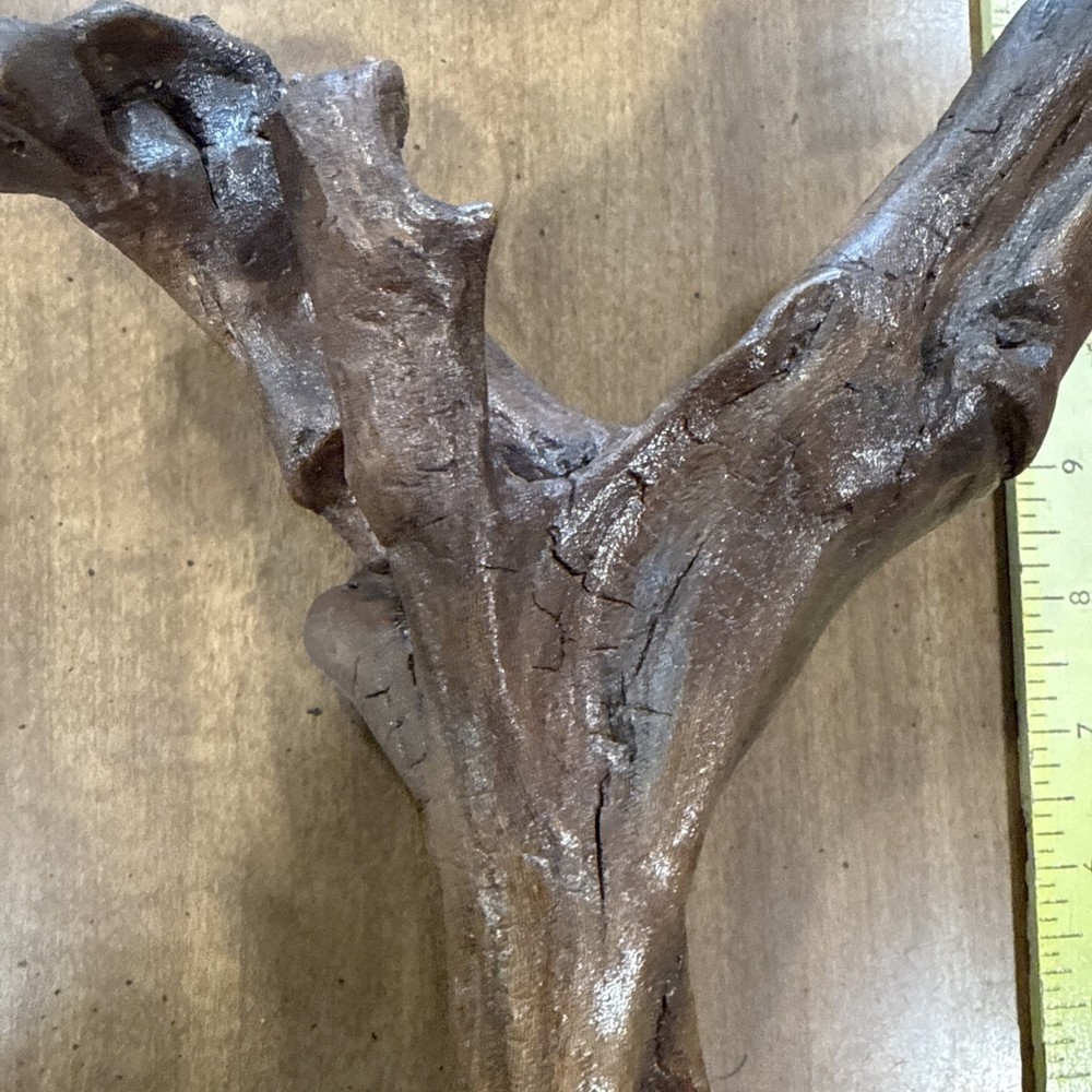 Driftwood Art Or Decoration