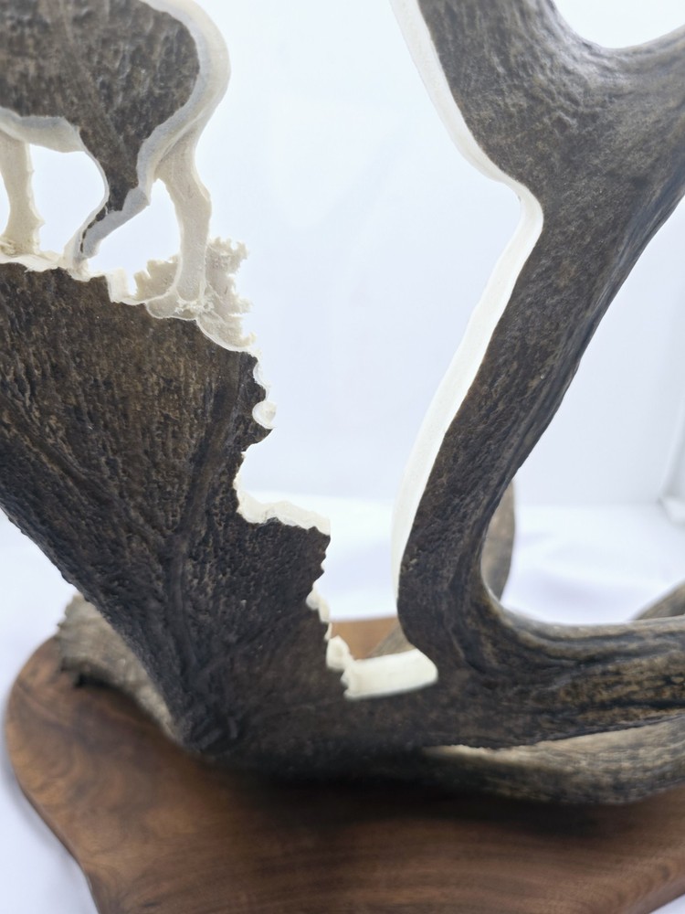 Monte Baker Moose Antler Carving 28x22"