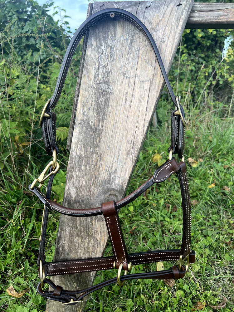 Leaders 1" Havanna Brown Leather Halter White Stitch Solid Brass