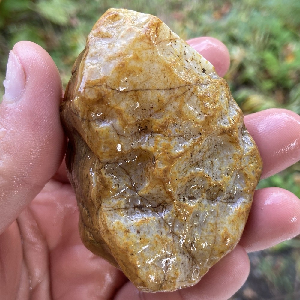 Custard Banded Agate Rough 5.55 Oz