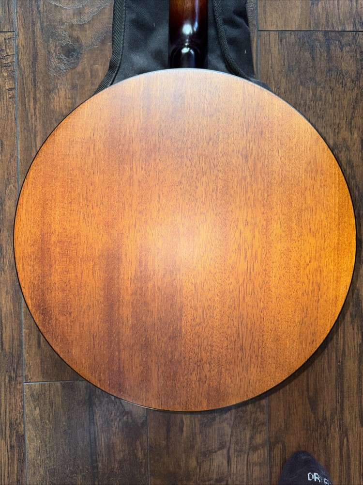 Fender 5 String Banjo & Bag Used