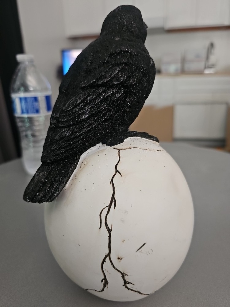 Skull Head With Raven Crow Skull Gothic Mystical