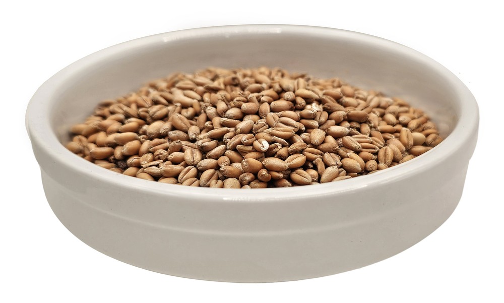 Home Brew Ohio Torrified Red Wheat Grain 5lb