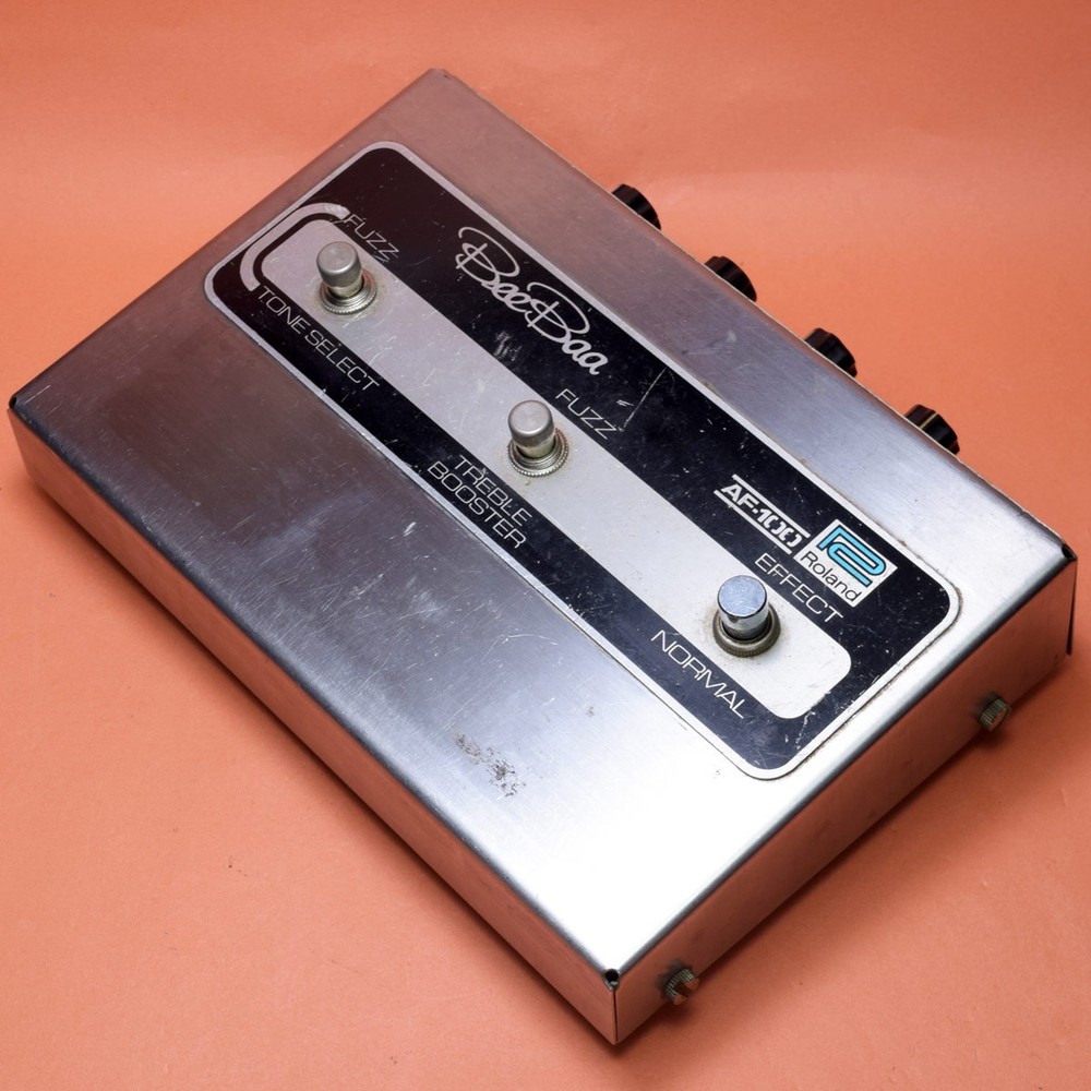 Roland AF-100 Bee Baa Digital Accordion Used