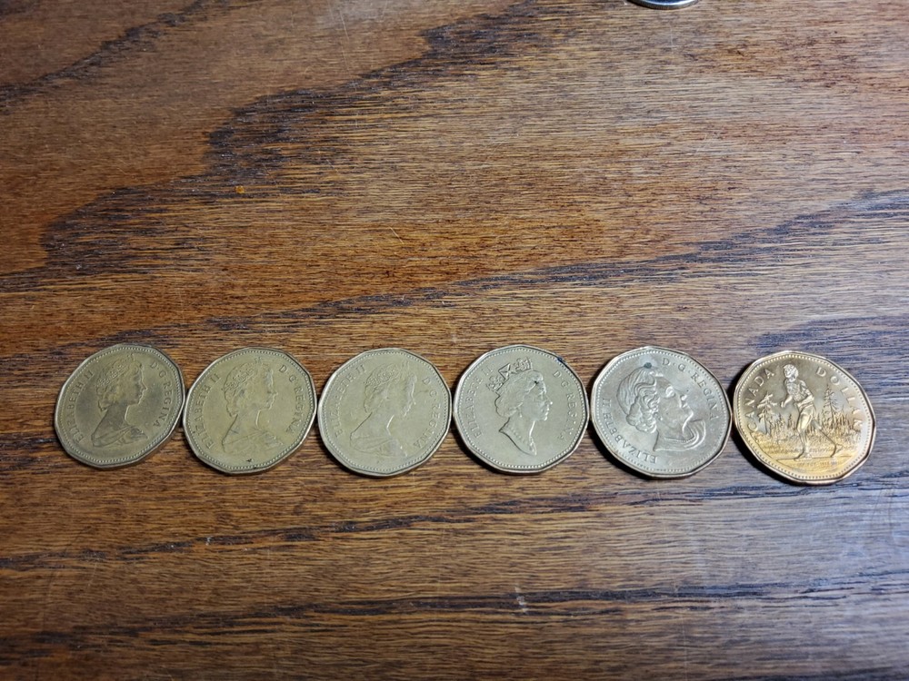 6 Assorted Canadian One Dollar Coins