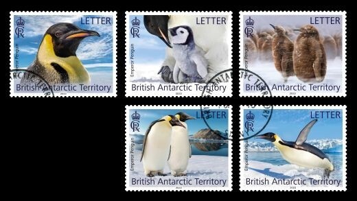 2024/01- BRITISH ANTARCTIC - EMPEROR PENGUINS     5V complet set