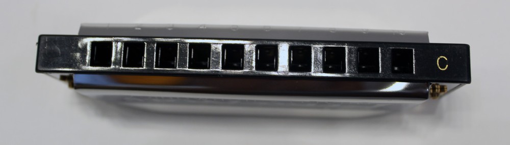 TROPHY CLASSIC FIRST NOTE DIATONIC 10 HOLE HARMONICA KEY OF C w/ INSTRUCTIONS