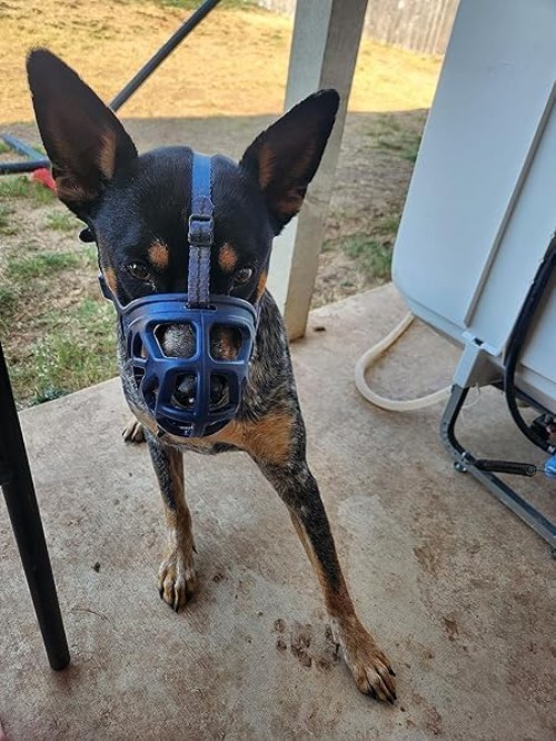 Adjustable Basket Muzzle for Small Medium Large Dogs - Gentle Anti-Bite Solution