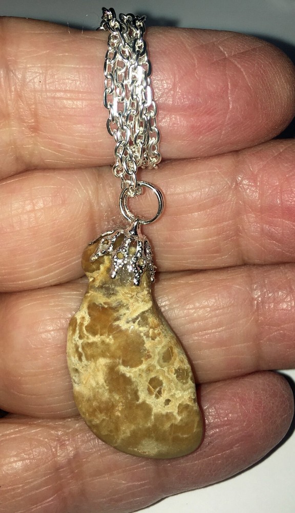 Authentic Fossil Dinosaur Coprolite (Poop) Pendant