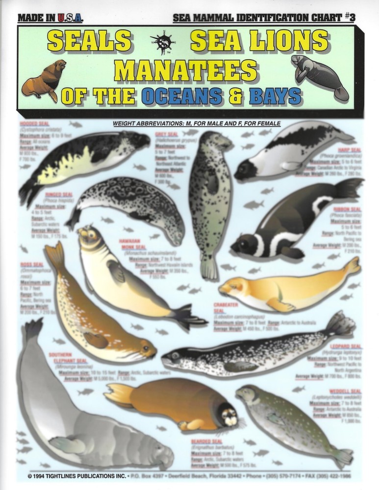 Fishermen's Saltwater Fish Identification Set - Waterproof Quick Reference Guide
