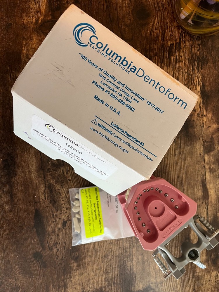 Columbia Dentoform Dental Typodont Model Removable Teeth + Extra