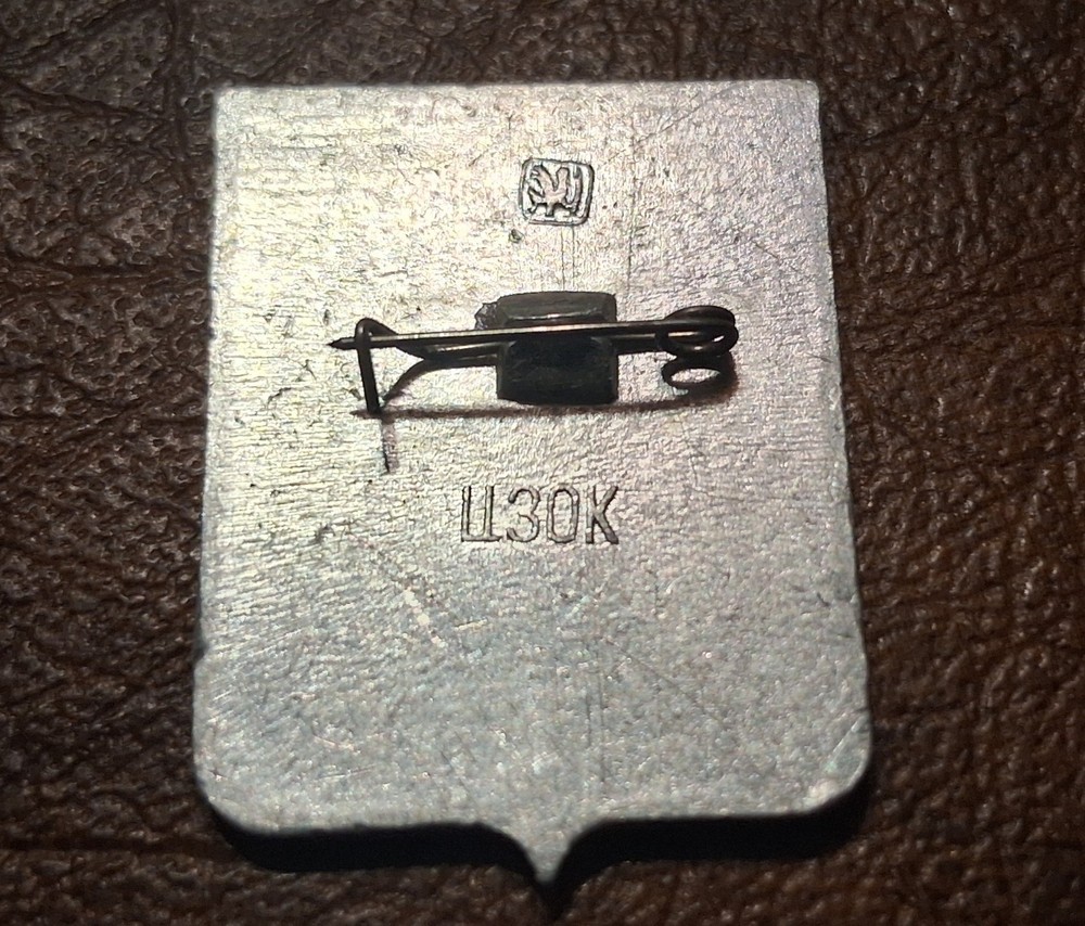 Vintage Russian Pin