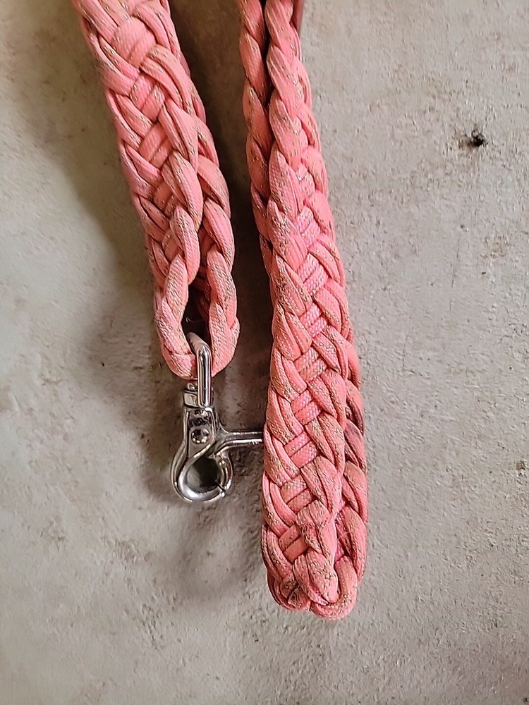 Horse Reins