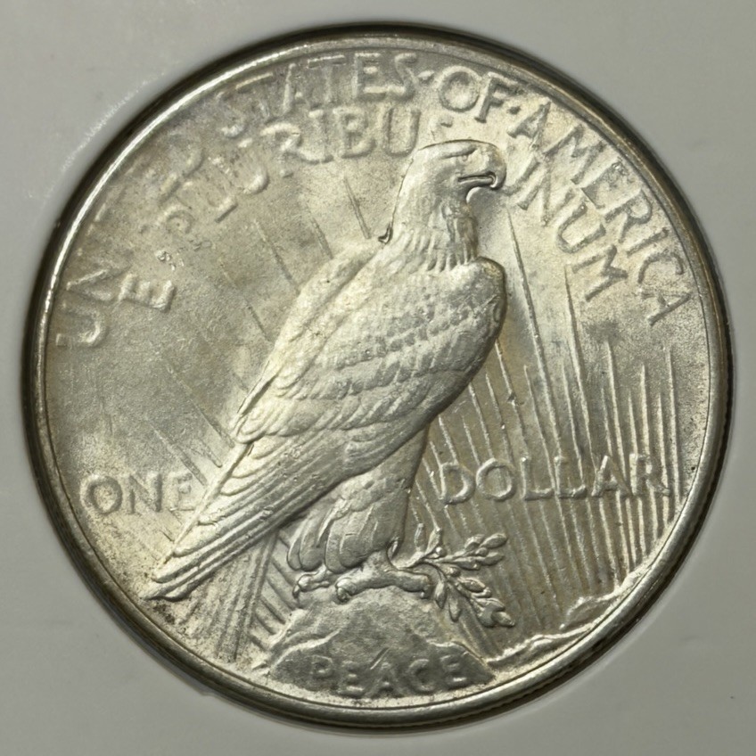 1925 $1 Peace Silver Dollar ** TE3533