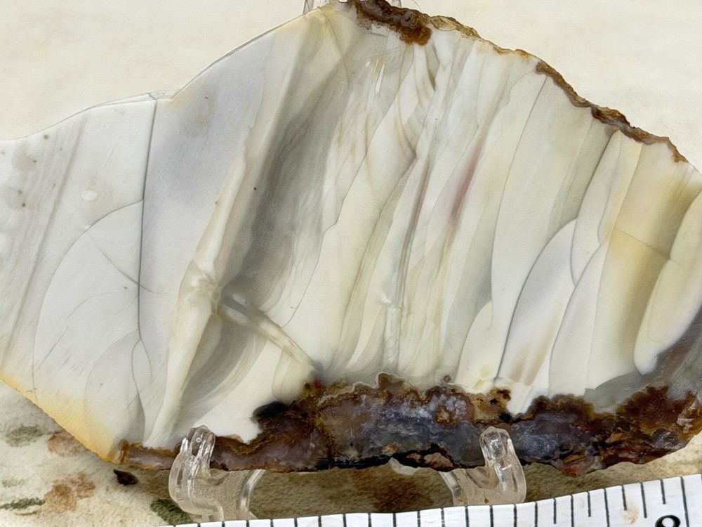 Willow Creek Jasper Slab, Lot#330