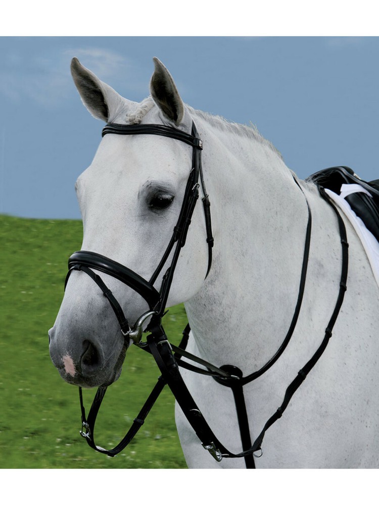 THIEDEMAN REINS SET