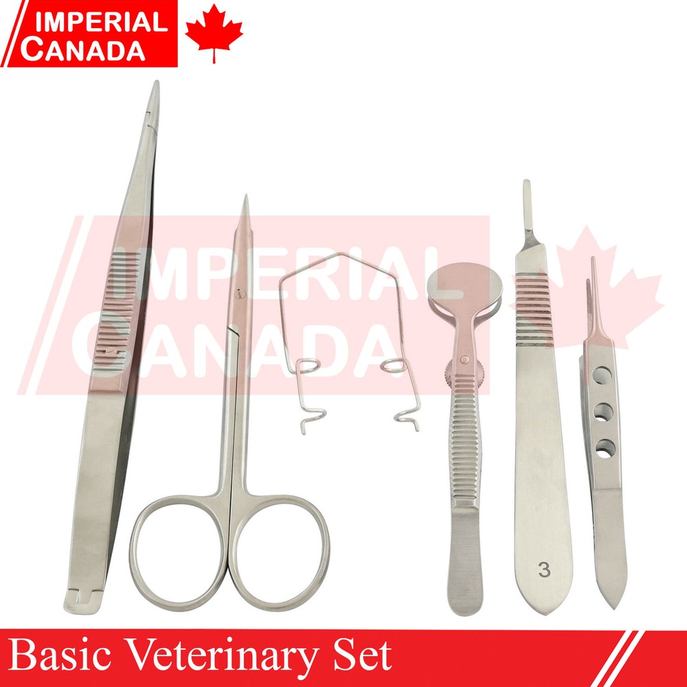 6 Pcs Basic Veterinary Set Instruments Scalpel+Scissors+Needle Holder+Re DS-1968