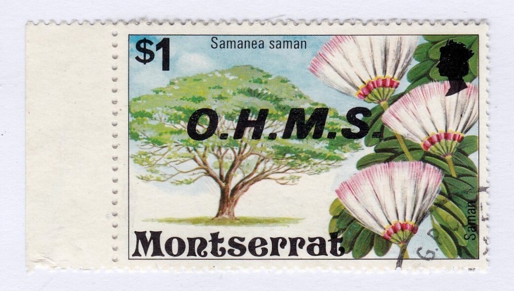 Montserrat        o17         used          Flowers