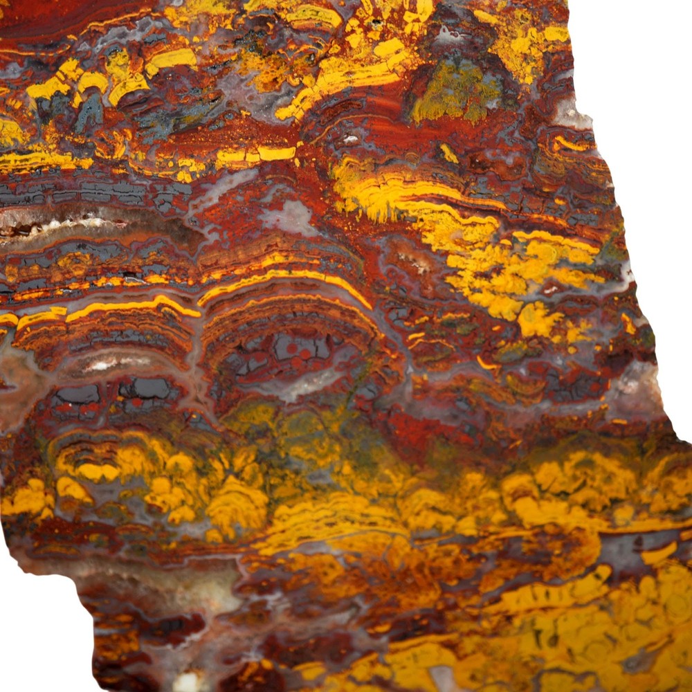Apple Valley Jasper Slab - Deep Red Stunning Hematite Flowers