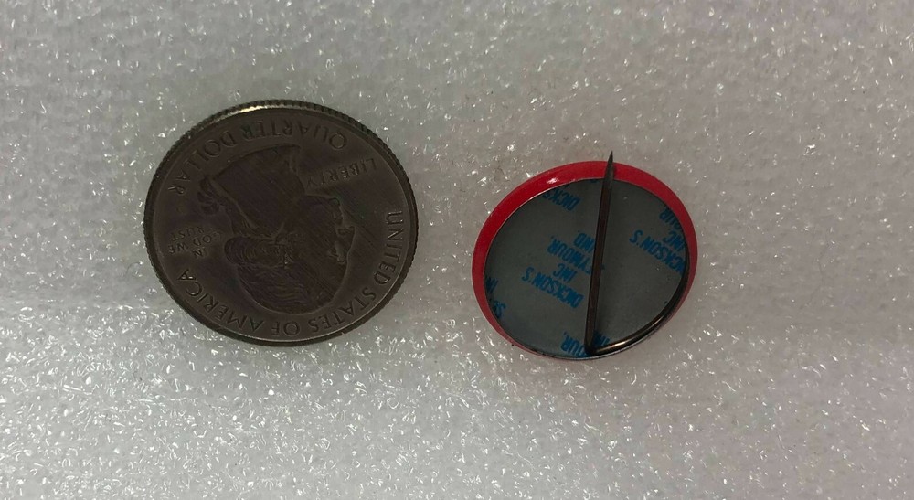 We Can't Lose Fish Pin