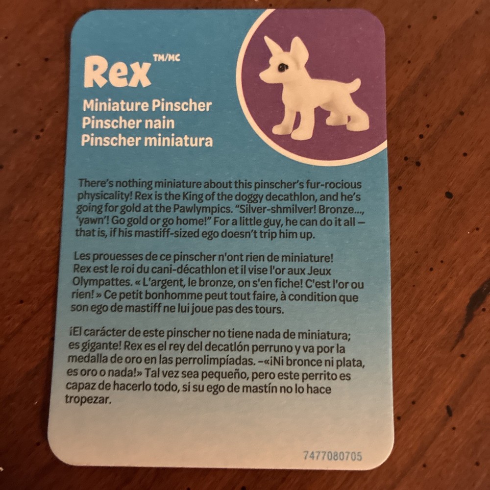 Crayola Scribble Scrubbies Pets Washable New In Box Rex
