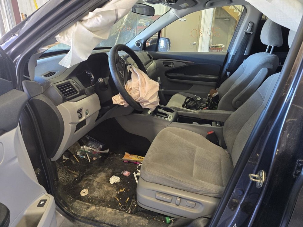 PILOT 2017 Jack 1552265