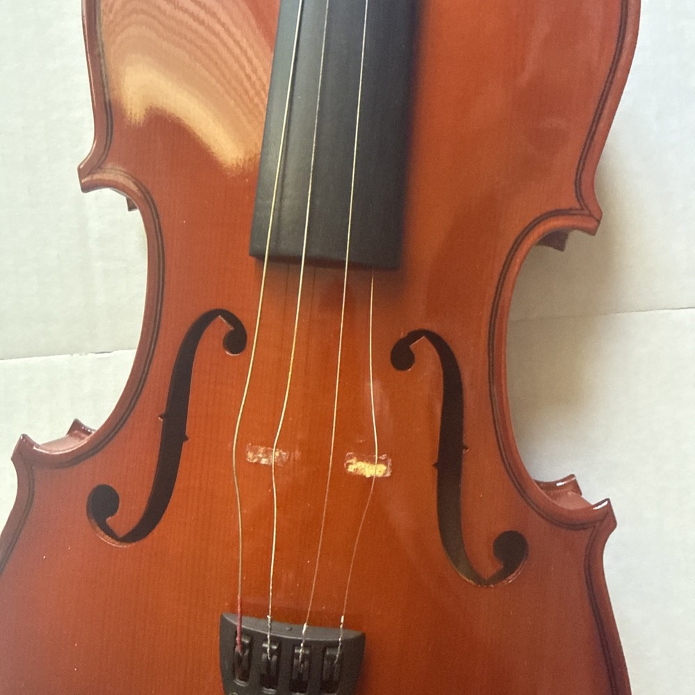 Violin With Case