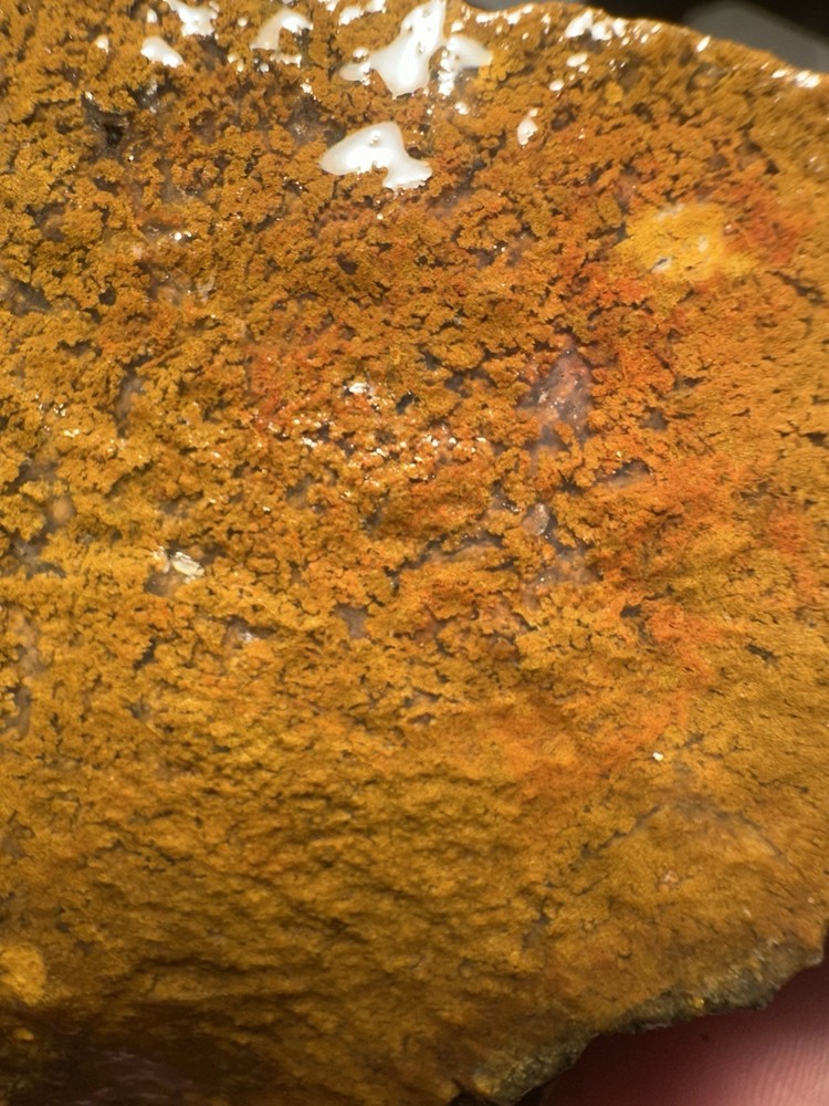 Yellow Moss Agate Rough Natural Gemstone 2lbs 2.8 OZ