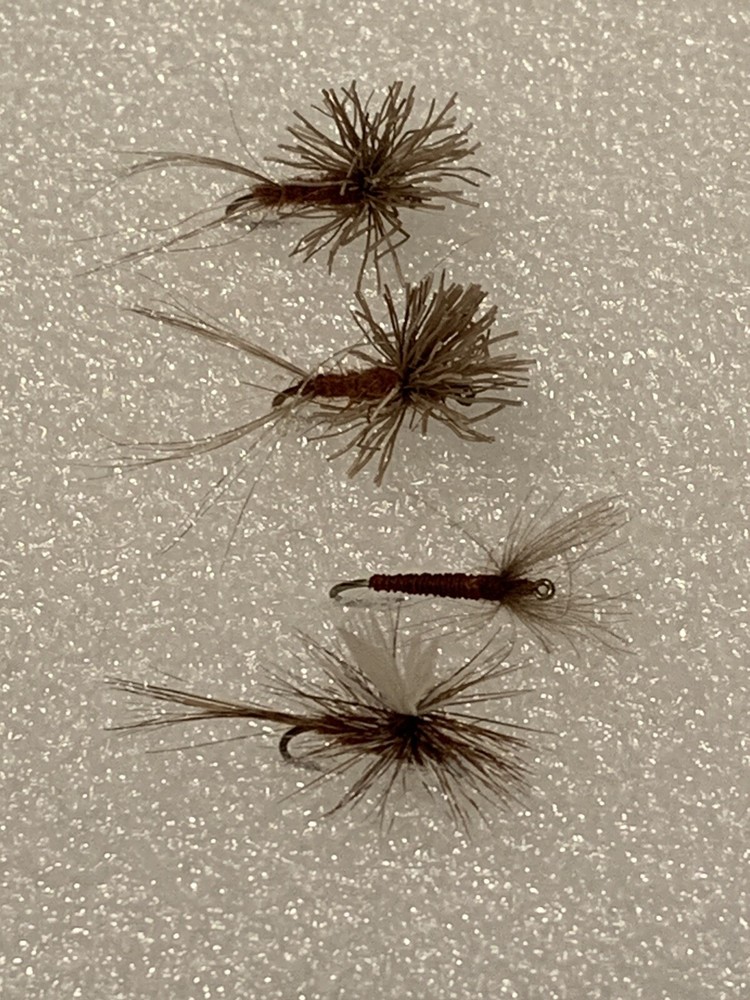 Assorted Freshwater Flies For Trout