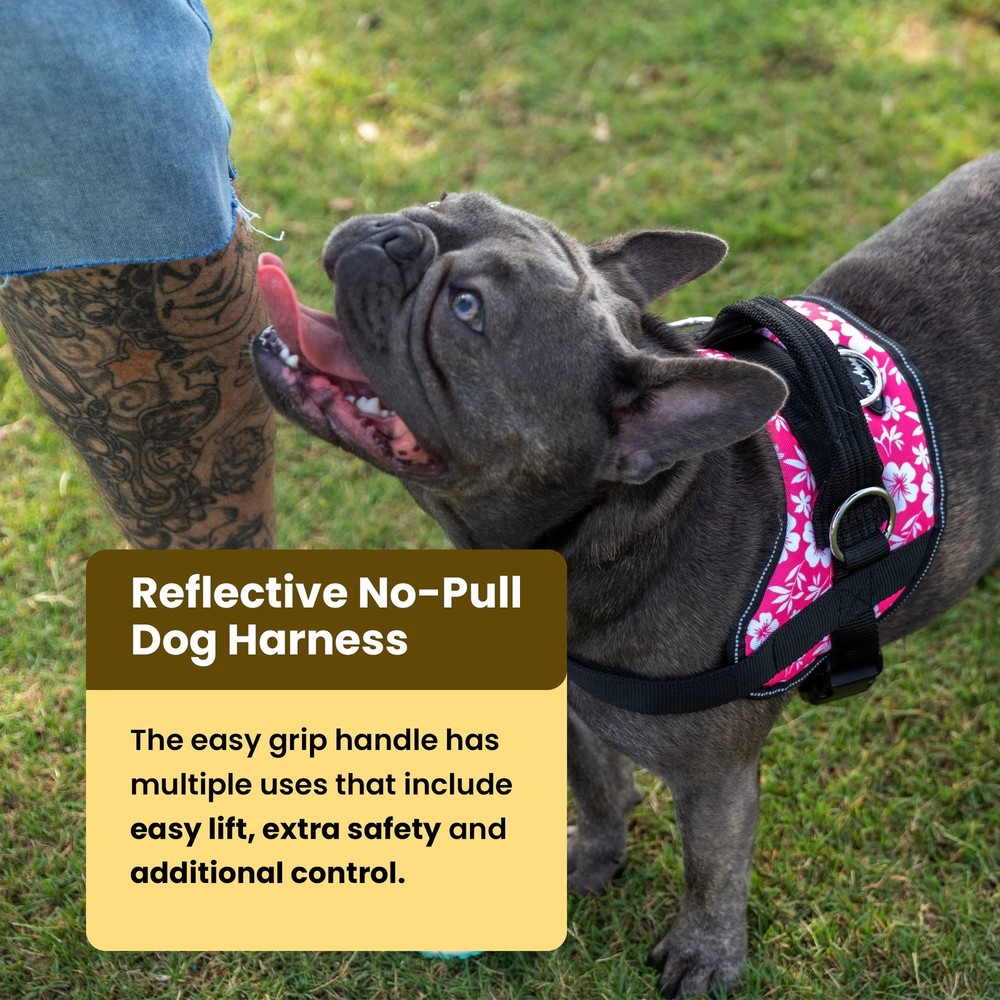 Dog Harness No-Pull Pet Harness Adjustable & Reflective Soft-Padded No-Choke ...
